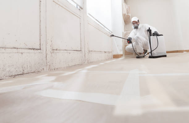 Asbestos and Lead Testing During Mold Inspection in St Georges, DE